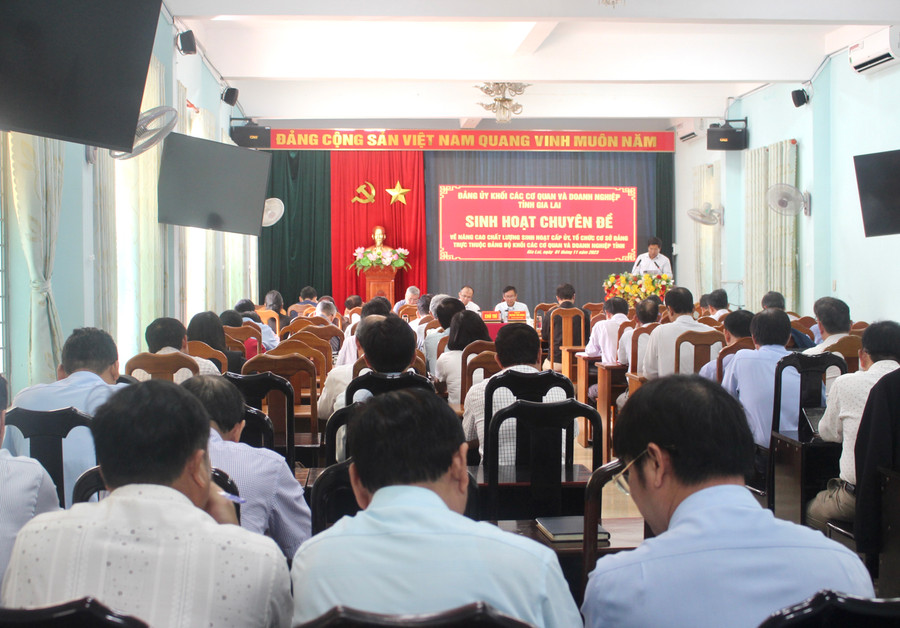 Quang cảnh buổi sinh hoạt chuyên đề. Ảnh: P.L Quang cảnh buổi sinh hoạt chuyên đề. Ảnh: P.L