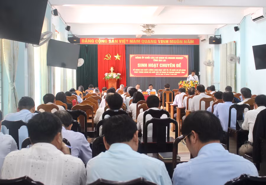 Quang cảnh buổi sinh hoạt chuyên đề. Ảnh: P.L