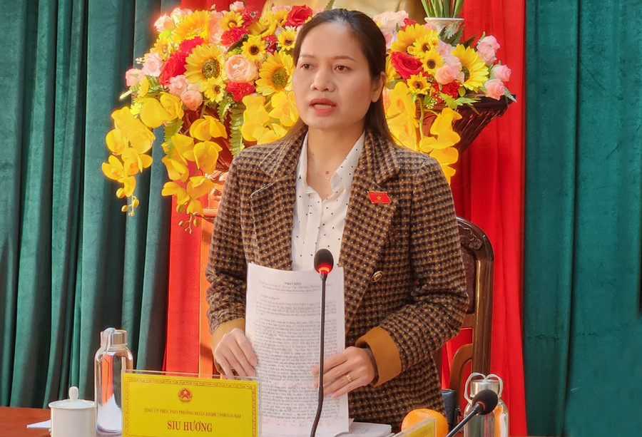 Bà Siu Hương-Phó Trưởng đoàn chuyên trách Đoàn đại biểu Quốc hội tỉnh chủ trì buổi giám sát. Ảnh: Ngọc Sang