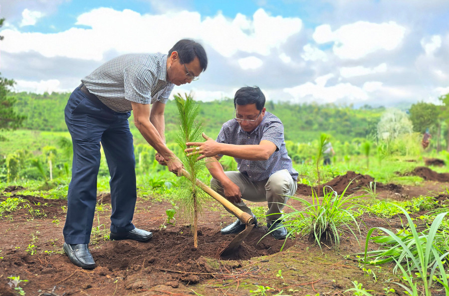 Bí thư Thành ủy Pleiku Trịnh Duy Thuân trồng cây xanh tại lễ phát động. Ảnh: Phạm Ngọc