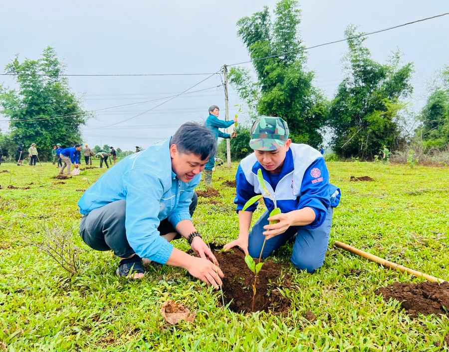 Cán bộ, đoàn viên, thanh niên TP. Pleiku tham gia hoạt động trồng cây xanh tại xã Gào (TP. Pleiku). Ảnh: P.L