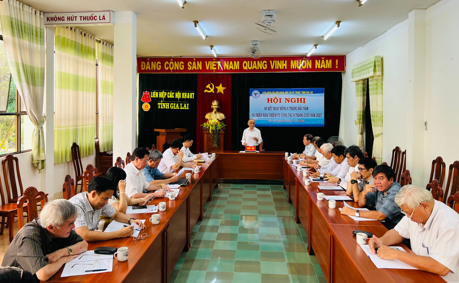 Quang cảnh hội nghị sơ kết. Ảnh: M.N