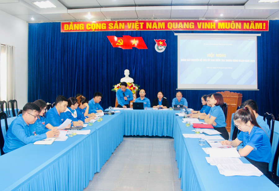 Quang cảnh buổi giám sát tại điểm cầu Tỉnh Đoàn Gia Lai. Ảnh: M.N