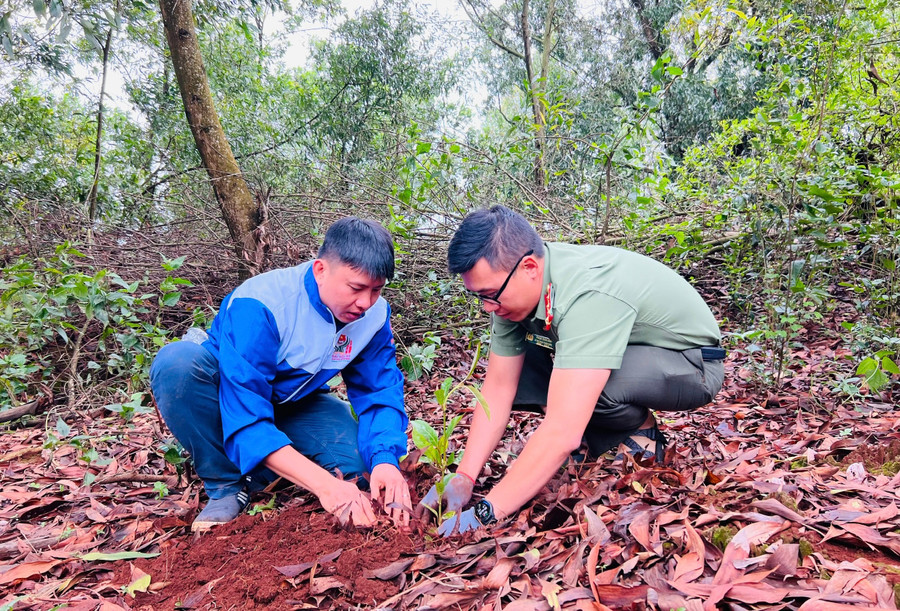 Bí thư Thành Đoàn Pleiku Thái Giang Nam (bìa trái) và Bí thư Đoàn Thanh niên Công an tỉnh Phạm Trần Bình trồng cây xanh tại xã Gào. Ảnh: P.L
