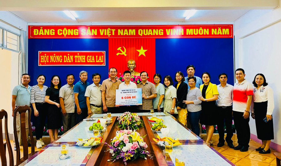 Đoàn công tác xã hội Gia Lai-TP. Hồ Chí Minh trao bảng tượng trưng mô hình sinh kế cho Hội Nông dân tỉnh Gia Lai. Ảnh: M.N