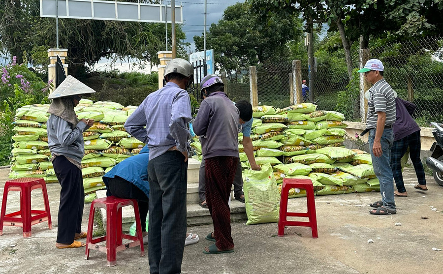 Trung tâm Dịch vụ nông nghiệp huyện Đak Pơ cấp lúa giống cho người dân. Ảnh: Phạm Ngọc Trung tâm Dịch vụ nông nghiệp huyện Đak Pơ cấp lúa giống cho người dân. Ảnh: Phạm Ngọc