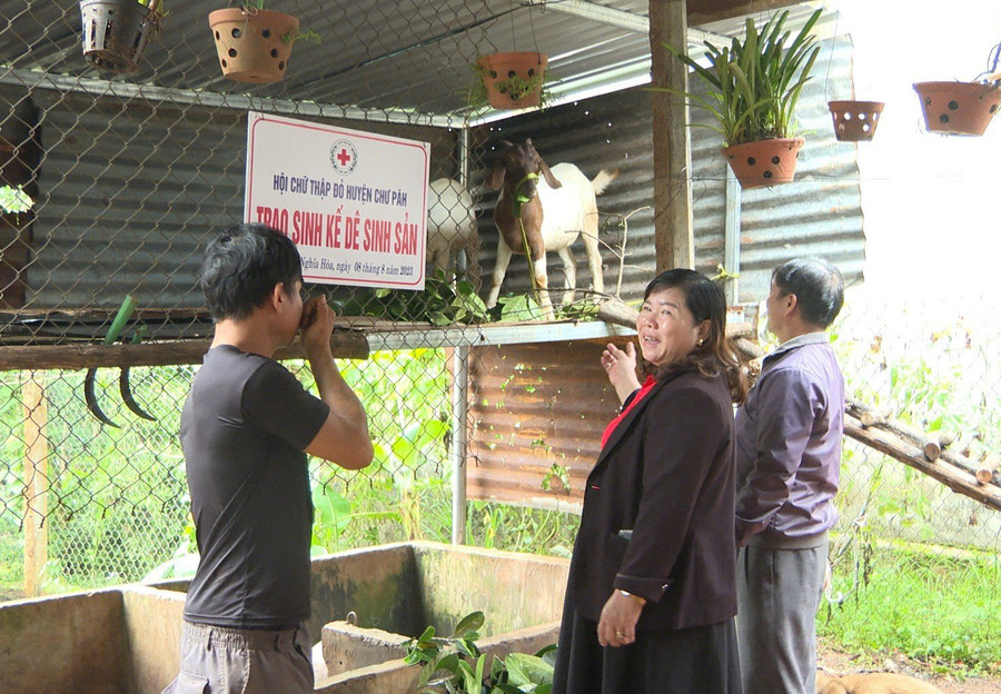 Hội Chữ thập đỏ huyện Chư Păh trao tặng cặp dê sinh sản cho gia đình bà Huỳnh Thị Thêm ở thôn 1, xã Nghĩa Hòa. Ảnh: Diễm Ly Hội Chữ thập đỏ huyện Chư Păh trao tặng cặp dê sinh sản cho gia đình bà Huỳnh Thị Thêm ở thôn 1, xã Nghĩa Hòa. Ảnh: Diễm Ly