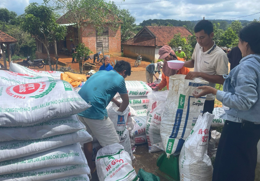 Hỗ trợ phân bón và vôi cho các thành viên Tổ hợp tác chăm sóc cây cà phê làng Hà Nừng. Ảnh: Phạm Ngọc Hỗ trợ phân bón và vôi cho các thành viên Tổ hợp tác chăm sóc cây cà phê làng Hà Nừng. Ảnh: Phạm Ngọc