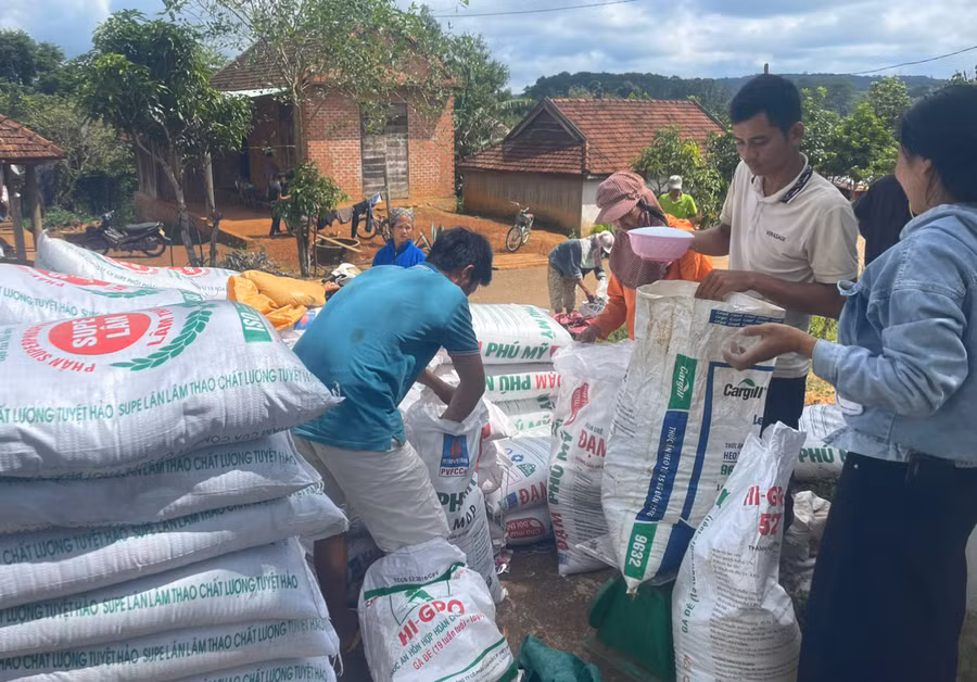 Hỗ trợ phân bón và vôi cho các thành viên Tổ hợp tác chăm sóc cây cà phê làng Hà Nừng. Ảnh: Phạm Ngọc