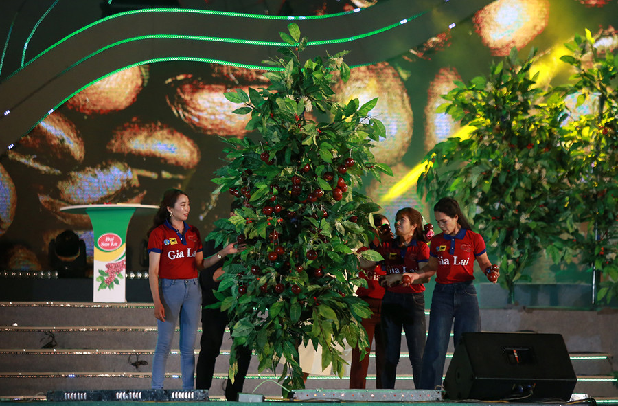 Các thành viên đội Gia Lai tham gia tranh tài tại hội thi. Ảnh: T.A