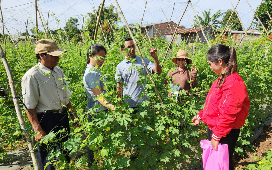 Nhờ được đào tạo nghề trồng rau an toàn, nhiều hộ dân ở làng Wâu (xã Chư Á) đã áp dụng khoa học kỹ thuật vào sản xuất, nâng cao thu nhập. Ảnh: Phạm Ngọc Nhờ được đào tạo nghề trồng rau an toàn, nhiều hộ dân ở làng Wâu (xã Chư Á) đã áp dụng khoa học kỹ thuật vào sản xuất, nâng cao thu nhập. Ảnh: Phạm Ngọc