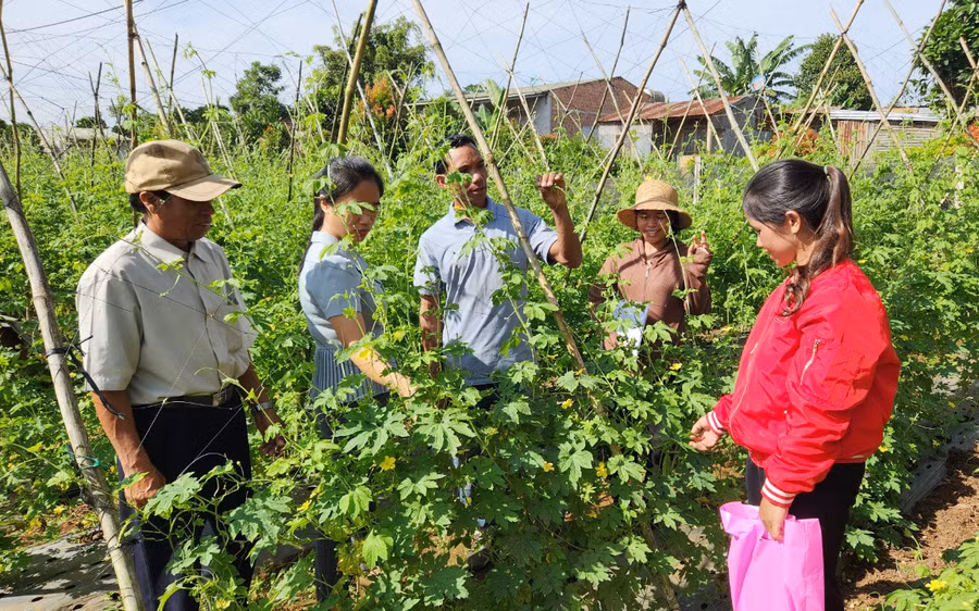 Nhờ được đào tạo nghề trồng rau an toàn, nhiều hộ dân ở làng Wâu (xã Chư Á) đã áp dụng khoa học kỹ thuật vào sản xuất, nâng cao thu nhập. Ảnh: Phạm Ngọc