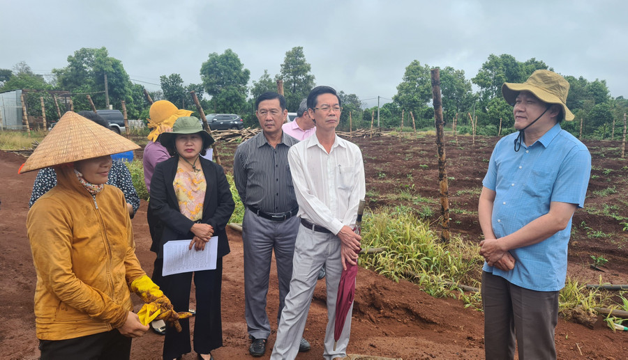 Đoàn giám sát thực tế tại vườn cà phê của gia đình bà Trần Thị Hiền (thôn Hoàng Tiên, xã Ia Phìn, huyện Chư Prông). Ảnh: Ngọc Sang