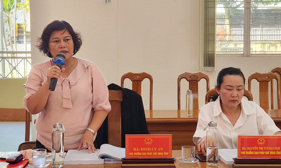 Bà Đinh Ly An-Phó Trưởng ban Pháp chế HĐND tỉnh nêu ý kiến tại buổi làm việc. Ảnh: Ngọc Sang
