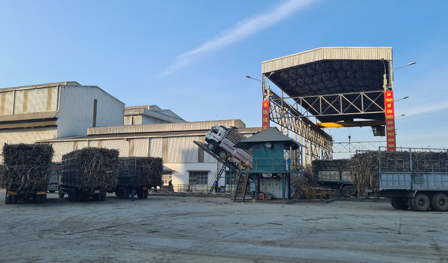 Nhà máy Đường An Khê đã nâng công suất lên 17 ngàn tấn mía/ngày nhằm giải quyết tối đa lượng mía cho người dân. Ảnh: Ngọc Sang Nhà máy Đường An Khê đã nâng công suất lên 17 ngàn tấn mía/ngày nhằm giải quyết tối đa lượng mía cho người dân. Ảnh: Ngọc Sang