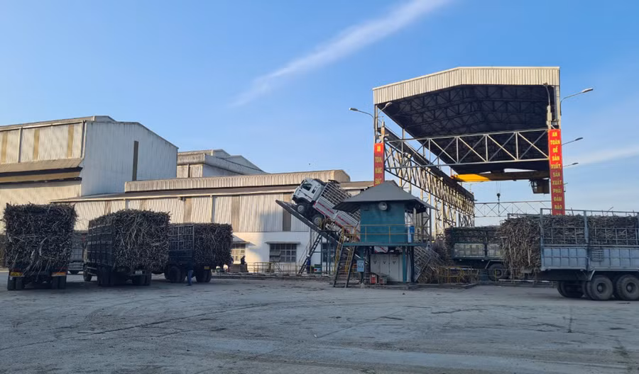 Nhà máy Đường An Khê đã nâng công suất lên 17 ngàn tấn mía/ngày nhằm giải quyết tối đa lượng mía cho người dân. Ảnh: Ngọc Sang