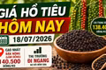 Giá hồ tiêu hôm nay 18/7: Thị trường đi ngang