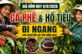 Giá cà phê, hồ tiêu hôm nay 9/8: Thị trường đồng loạt đi ngang