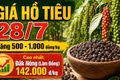 Giá hồ tiêu hôm nay 28/7: Tất cả vùng trọng điểm cùng tăng