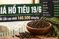 Giá hồ tiêu hôm nay 19/6: Thị trường đi ngang, vẫn neo vùng cao