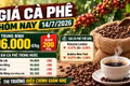 Giá cà phê hôm nay 14/7: Giảm nhẹ còn 96.000 đồng/kg