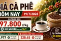 Giá cà phê hôm nay 19/7 đi ngang, thị trường chờ tín hiệu mới