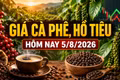 Giá cà phê hôm nay 5/8 giảm nhẹ, hồ tiêu đi ngang