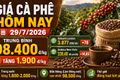 Giá cà phê hôm nay 29/7: Tăng gần 2.000 đồng/kg, áp sát mốc 100.000
