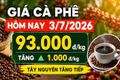 Giá cà phê hôm nay 3/7 tăng thêm 1.000 đồng/kg, Tây Nguyên giữ đà nóng