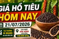 Giá hồ tiêu hôm nay 21/7: Thị trường tiếp tục đi ngang