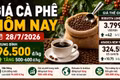 Giá cà phê hôm nay 28/7: Trong nước tăng, Robusta và Arabica cùng khởi sắc
