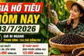 Giá hồ tiêu hôm nay 3/7: Thị trường đi ngang, cao nhất 135.000 đồng/kg