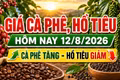 Giá cà phê, hồ tiêu hôm nay 12/8: Cà phê tăng, giá tiêu giảm
