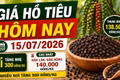 Giá hồ tiêu hôm nay 15/7: Nhiều nơi tăng 500 đồng/kg