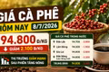 Giá cà phê hôm nay 8/7: Quay đầu giảm hơn 2.000 đồng/kg