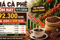 Giá cà phê hôm nay 9/7: Giảm tiếp còn 92.300 đồng/kg