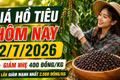Giá hồ tiêu hôm nay 2/7: Giảm nhẹ 400 đồng/kg, Đắk Lắk mất 2.000 đồng/kg