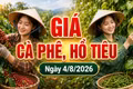 Giá cà phê hôm nay 4/8 giảm, hồ tiêu mất 1.000 đồng/kg