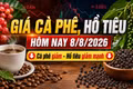 Giá cà phê, hồ tiêu hôm nay 8/8: Hai mặt hàng cùng giảm