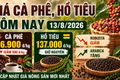 Giá cà phê, hồ tiêu hôm nay 13/8: Cà phê giảm, giá tiêu đi ngang
