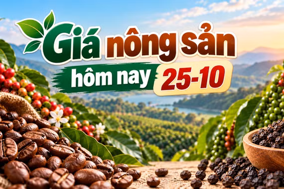 Giá nông sản hôm nay (25-10): Cà phê mất mốc 90.000 đồng/kg, hồ tiêu đi ngang