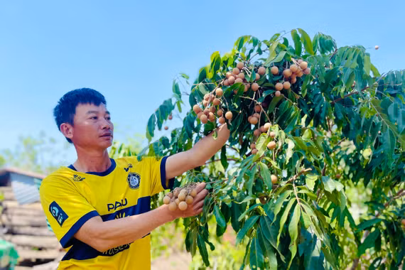 Chàng trai người Mường vươn lên làm giàu trên vùng đất khó