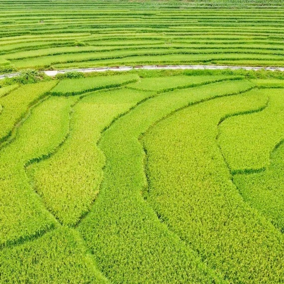 Ngắm 'cổng nhà trời' Pù Luông