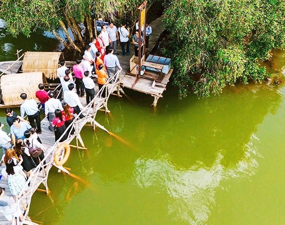 Tìm ký ức xưa giữa rừng tràm