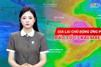 Gia Lai chủ động ứng phó bão số 13 Kalmaegi