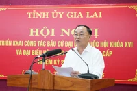 Gia Lai: Triển khai công tác bầu cử đại biểu Quốc hội khóa XVI và đại biểu HĐND các cấp nhiệm kỳ 2026-2031