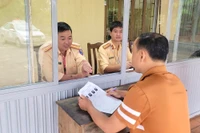 Đỗ sát hạch là được phép lái xe, không bắt buộc phải có bằng cứng