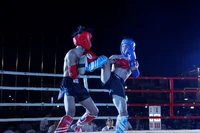 Hấp dẫn Đêm võ đài Bình Định