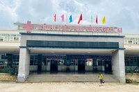 Gia Lai: Bị ong vò vẽ đốt, 1 trẻ tử vong