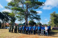 Trồng hơn 600 cây bằng lăng tại làng Ngol Tă
